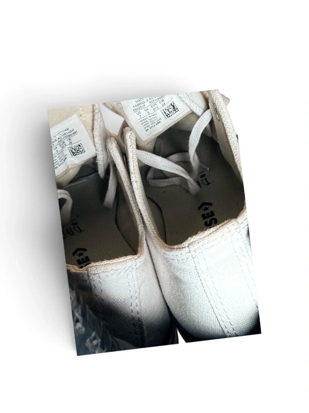 Converse Low Top Sneakers in White with Black Trim